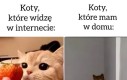 Trochę się go boję