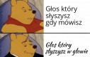 Różne głosy