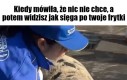 Gdzie z tymi łapami?