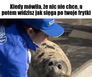 Gdzie z tymi łapami?
