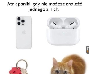 Szczególnie kotka