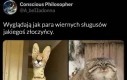 Kompetencje opcjonalne