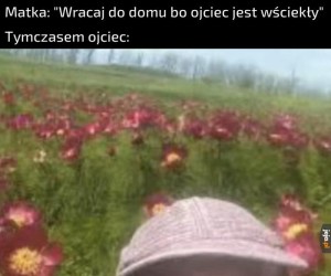 Rel