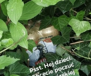 Od rana za mną chodzą