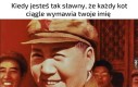Można rzec, że idol
