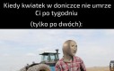 Pamięta ktoś 