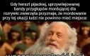 Naprawdę, nie trzeba było