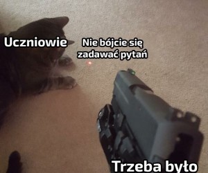 No trzeba było