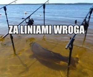 Ryzykowne zwiady