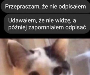Tak się czasem zdarza