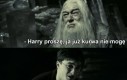 Żryj to