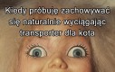 Nie bój się kiciuś, jedziemy na lody