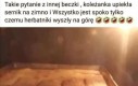Czy ten sernik jest jeszcze na zimno, czy już na ciepło?