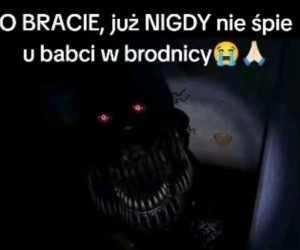 Nigdy więcej