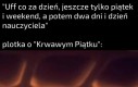 19 to tylko o 1 więcej niż liczba miast wojewódzkich