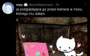 Oj tam zaraz stalkerka...