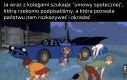 Tak, zgadza się, jestem psem, lecz nikt w Internecie o tym nie wie