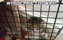 Wypuść mnie, człowiek!