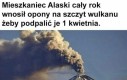 Żartowniś