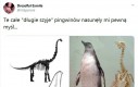 Nikt tak naprawdę nie wie, jak dokładnie wyglądały dinozaury