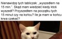 To są prawdziwe problemy, a nie jakieś zbrodnie wojenne