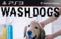 Wash_Dogs