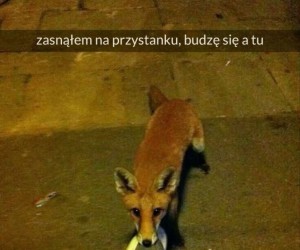 Yyy ten no, mogę to wytłumaczyć
