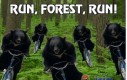 Run, Forest, RUN!