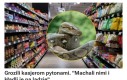 Tutył napada na sklep