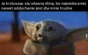 No jak to tak?