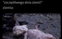 Nigdy nie miała się lepiej