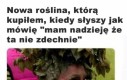 Że co?
