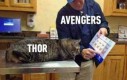 Sorry Thor, ale jesteś gruby