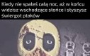 Będzie trzeba odespać w dzień, o ile temperatura pozwoli