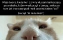 Ta oczywiście