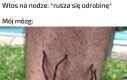 Radzę zatkać uszy