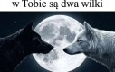 Jak było to sorry
