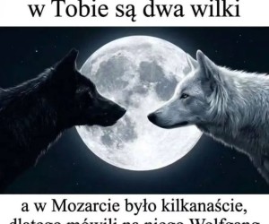 Jak było to sorry