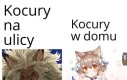 Memu