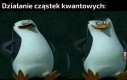 Tytuł znajduje się w superpozycji