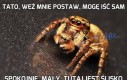 Tato, weź mnie postaw, mogę iść sam