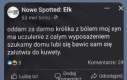 Dużo się dzieje w tym poście