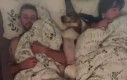 Spanie z psem takie jest