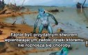Utopiec