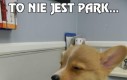 To nie jest park...