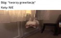 Rel, mój kot właśnie złamał 4 ścianę