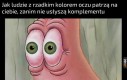 No powiedz jakie ładne!