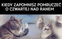 Jak mogłem o tym zapomnieć?