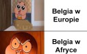 Dwie różne Belgie