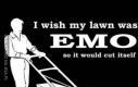 Chciałbym, żeby mój trawnik był emo